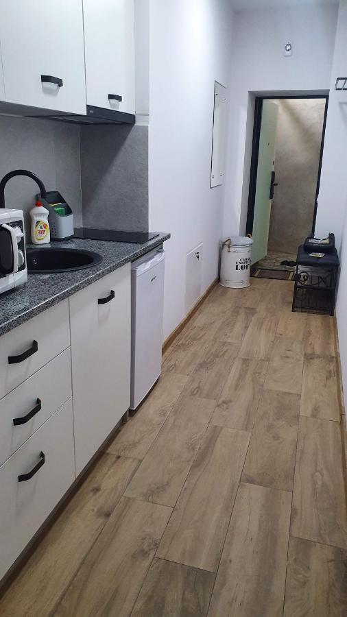 Demar Apart Violet Lviv Kültér fotó